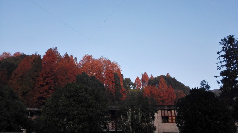 ���ƣ���糿��
��飺��糿��
�����4937