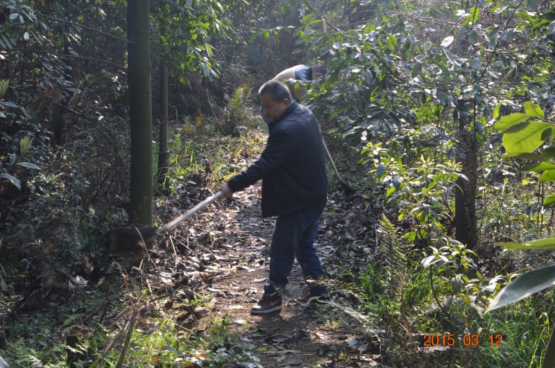 ���ƣ���������С·
��飺��������С·
�����5651