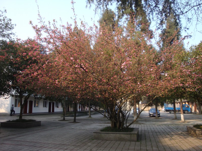 ���ƣ�����֮��
��飺����֮��
�����6147