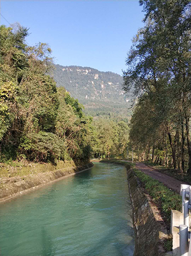 名称:玉溪风光
简介:玉溪风光
点击:4519