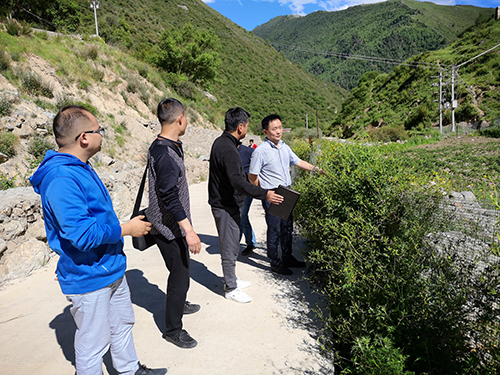 名称:洞庄村调研土地种植
简介:洞庄村调研土地种植
点击:4014